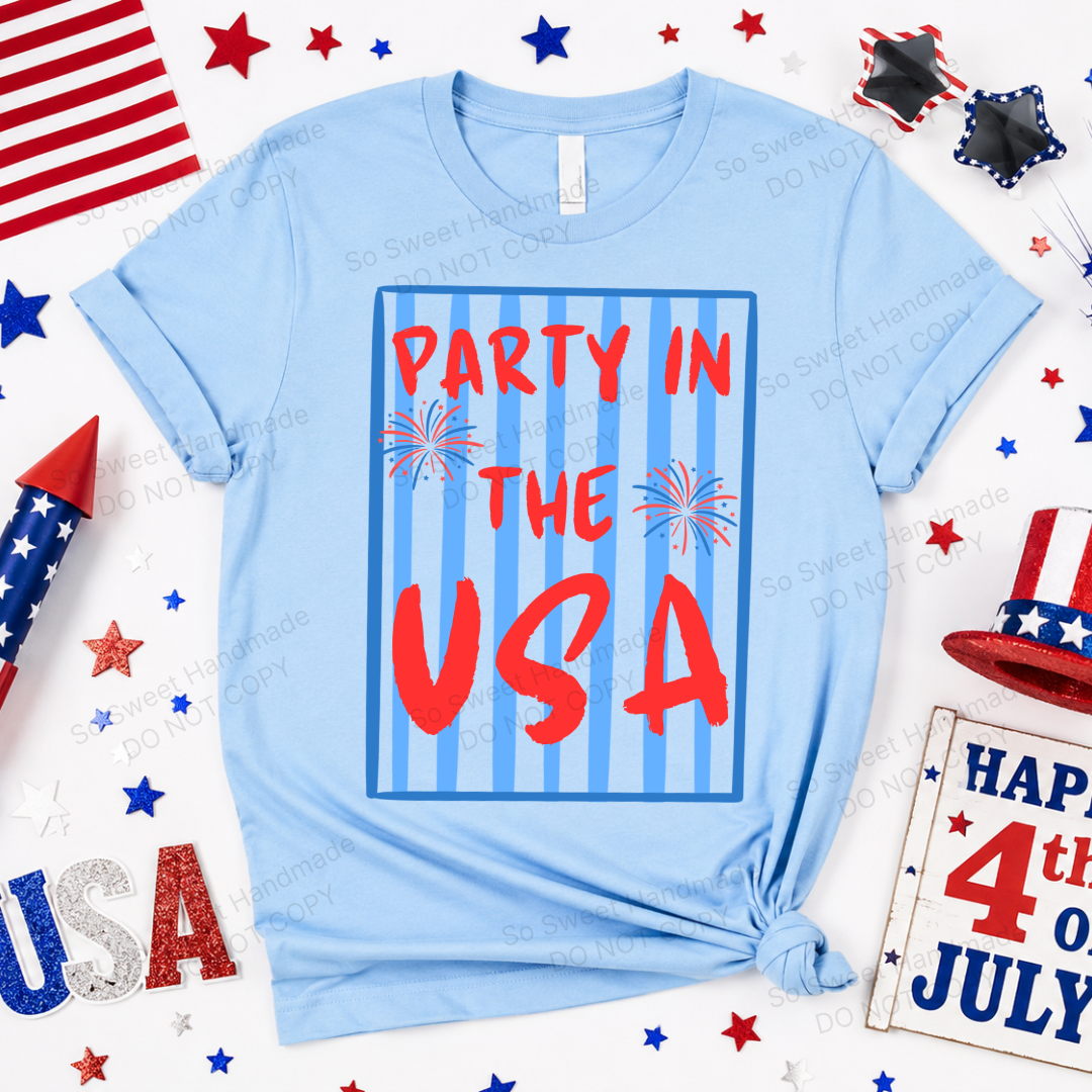 PARTY IN THE USA - Chambray