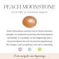 Peach Moonstone 8 mm Gemstone Bracelet - For fertility & emotional support