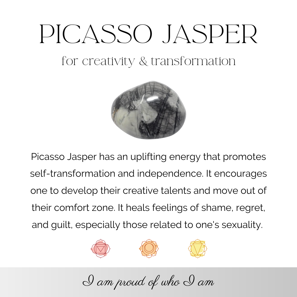 Picasso Jasper - For creativity & transformation