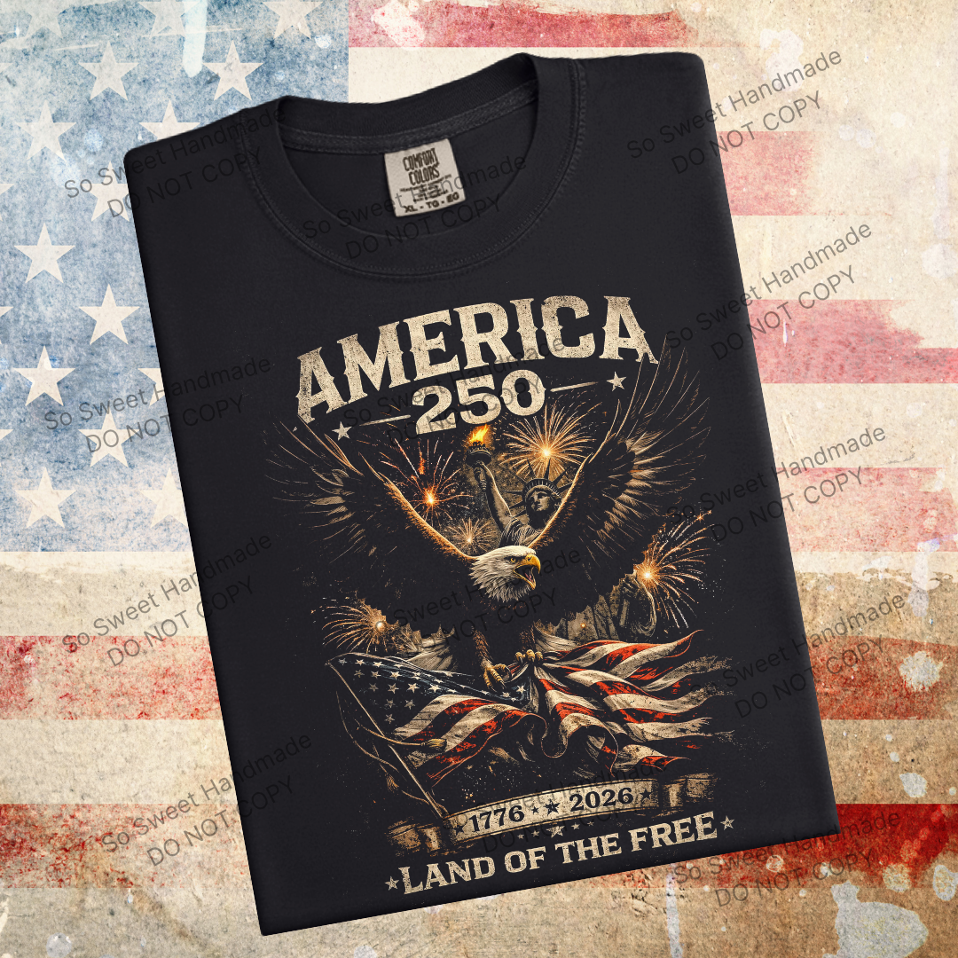AMERICA 250 EAGLE - Black